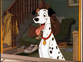 picture of Pongo